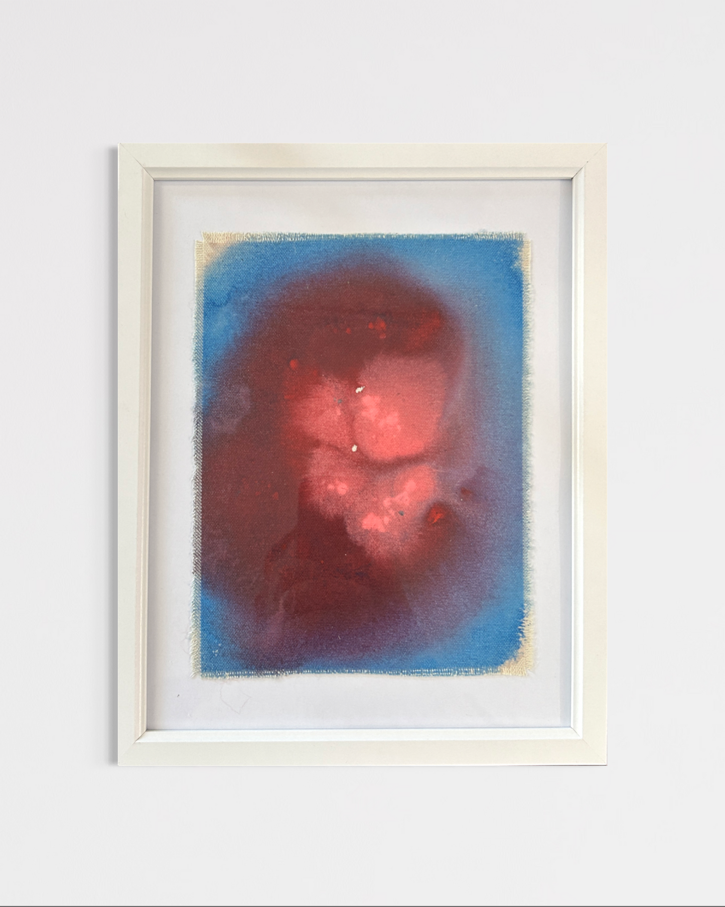 Jelly fish - Libby Waller