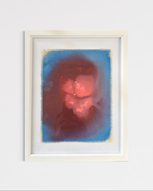 Jelly fish - Libby Waller