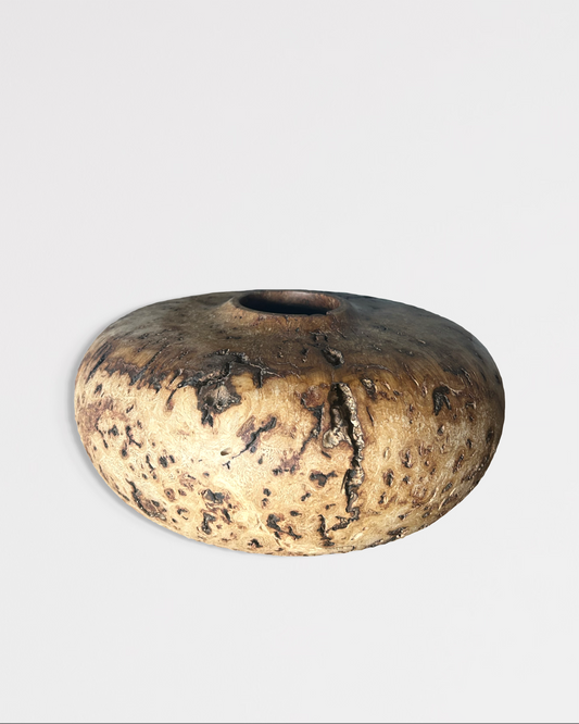 David Szelpal - Oak Burr