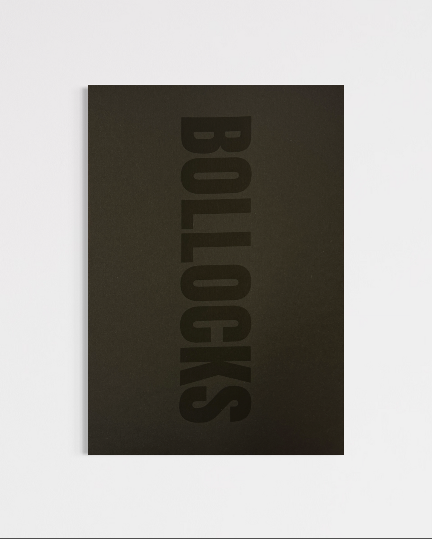Bollocks Print (A4)